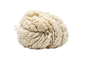 Close-up of a textured, organic-looking white mushroom or fungus isolated on black background with