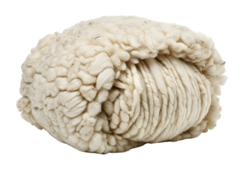 Close-up of a textured, white, organic-looking fungus or mold on a black background