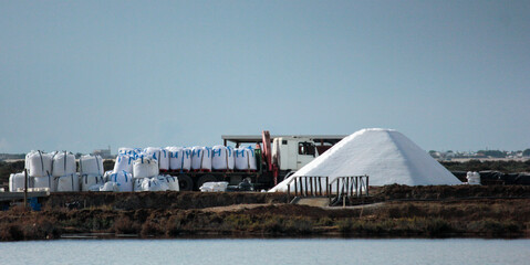 transporte de sal