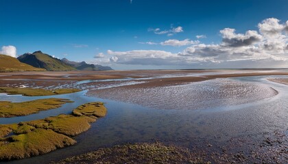 tidal flats animated unvegetated coastal landscapes