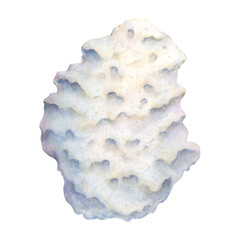 White calcareous stone is the base of a coral reef, an isolated image on a white background. Hand drawn watercolor illustration for decoration, design, poster, card, illustration, print, marine style