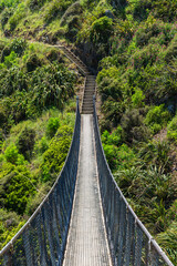 Obraz premium ニュージーランド パエカカリキ・エスカープメント・トラックに架かる吊り橋