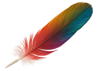 Colorful feather with vibrant rainbow hues on a black background