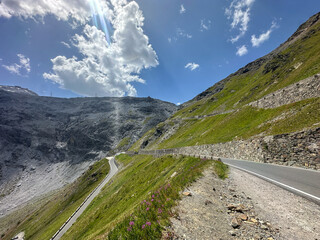 A panoramic view of the winding mountain roads of the famous Stelvio Pass, set against a backdrop...