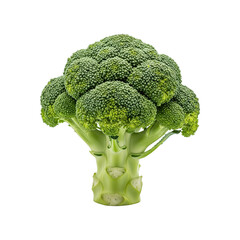 Ultra-realistic studio photograph of a vibrant, fresh head of broccoli, a healthy and organic raw vegetable, isolated on a clean white background with a subtle shadow.