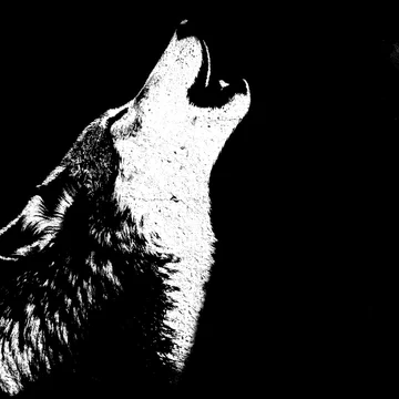 High Contrast Grunge Style Howling Wolf on a Dark Background