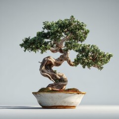 Serene Bonsai Tree in Pot, Studio Shot, Minimalist Background, Zen Garden Decor