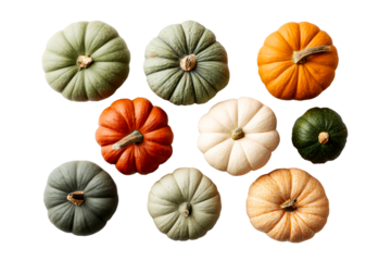 Assortment of Nine Gourd Vegetables in Various Colors and Sizes