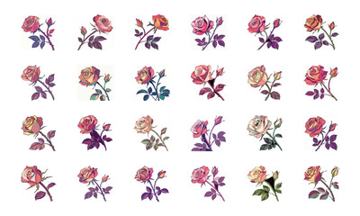 Beautiful Collection of 24 Colorful Hand-Drawn Floral Illustrations Featuring Roses, Tulips, Daisies, Lilies, Hibiscus, Marigolds, Orchids, Jasmine, and Pansies in Elegant Botanical Styles for Decorat