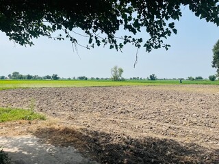 A vast agricultural field with tilled soil under a clear sky with trees in the distance