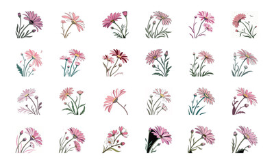 Beautiful Collection of 24 Colorful Hand-Drawn Floral Illustrations Featuring Roses, Tulips, Daisies, Lilies, Hibiscus, Marigolds, Orchids, Jasmine, and Pansies in Elegant Botanical Styles for Decorat