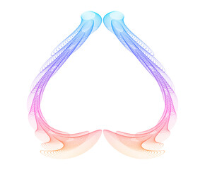 Abstract gradient wave lines forming creative geometric shapes — modern digital art, generative design, minimal futuristic background for posters, technology, NFT, web, branding and contemporary graph