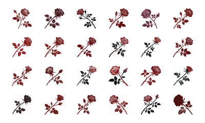 Beautiful Collection of 24 Colorful Hand-Drawn Floral Illustrations Featuring Roses, Tulips, Daisies, Lilies, Hibiscus, Marigolds, Orchids, Jasmine, and Pansies in Elegant Botanical Styles for Decorat