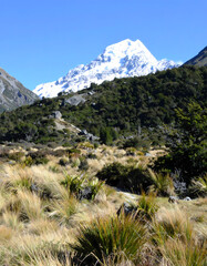 Majestic mountain view over grassland