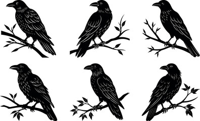 Six Ravens Perched on Branches Black and White Vector Illustration