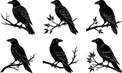 Six Ravens Perched on Branches Black and White Vector Illustration