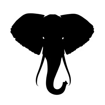 gobo texture shadows striking elephant tusk and trunk high contrast design