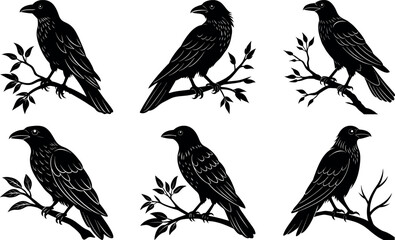 Collection of Black Raven Illustrations Perched on Branches for Halloween Design