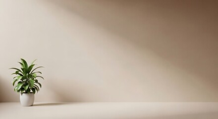 Minimalist interior with a green plant and sunlit shadow on a beige wall, offering ample Blank Space for text.