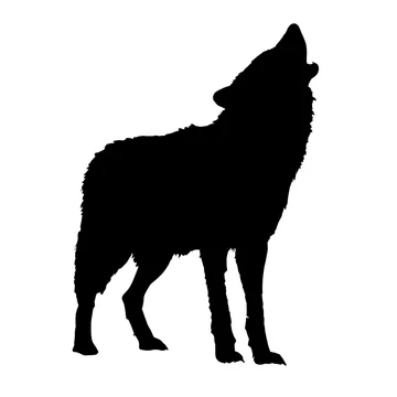 gobo texture shadows howling wolf silhouette with sharp fur outlines in black and white