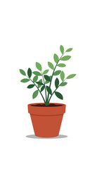 Fototapeta premium Green plant growing in a terracotta pot with shadow underneath