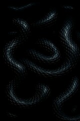Fototapeta premium black snake 8k for art wall decoration