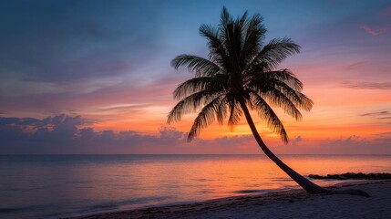 Obraz premium Sunrise Palm Beach Scene. Possible Travel Postcard
