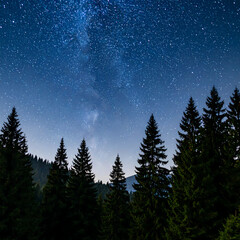 Milky way over mountain forest