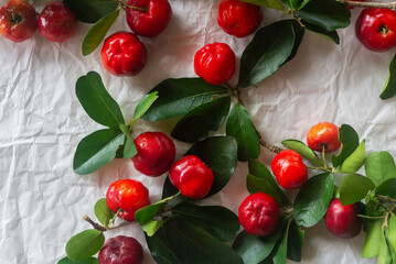 acerola cherry on white background