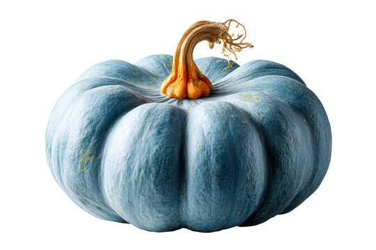 Unique blue pumpkin with vibrant orange stem - Powered by Adobe