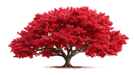 Crimson Canopy: A majestic tree, its vibrant red foliage a stunning display against a clear sky, standing as a symbol of strength and natural beauty.