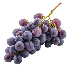 A fresh bunch of concord grapes isolated on a transparent background
