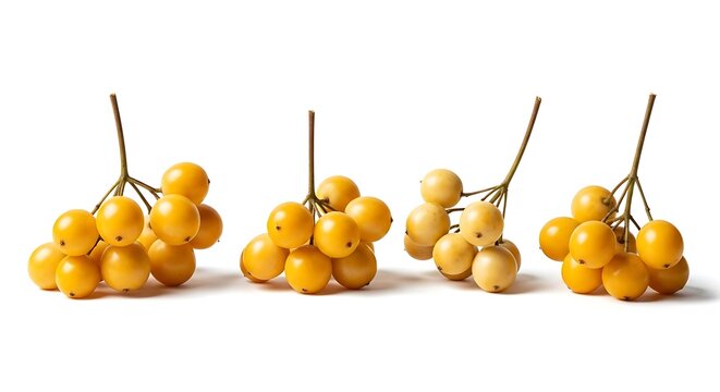 Clusters of ripe yellow cherry tomatoes on white background