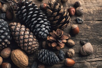 Pine cones on a wooden table, close-up view, blurred background, bokeh effect, macro. Christmas and winter design. Dry, coniferous tree cones. DIY. Autumn, fall mood. Earth tones, natural colors