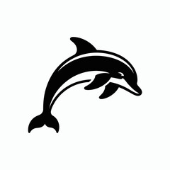 dolphin isolated on white background