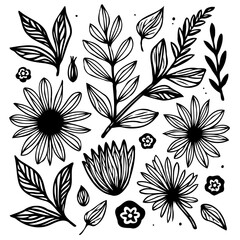 Botanical sketches with flowers and leaves vector illustration set for creating beautiful pattern designs and backgrounds