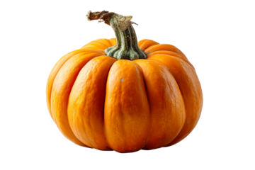 Textured orange pumpkin on clear bg