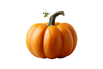 Vibrant orange pumpkin with green stem and leaf