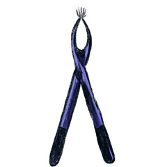 Pencil-style illustration of school supplies in hand-drawn color art
