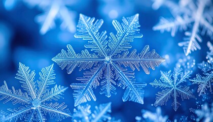 Stunning macro view of intricate ice crystals sparkling with frosty detail on a cool blue background