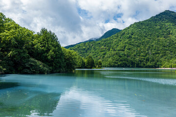 夏の奥日光　湯の湖の風景