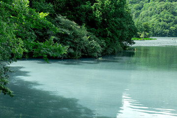 夏の奥日光　湯の湖の風景