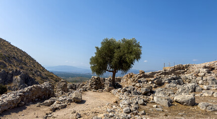 Ancient stone ruins and a lone tree at Mycenae archaeological site in Greece, sunny summer day,...