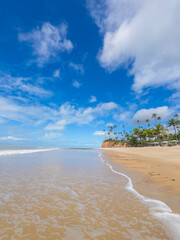 Fototapeta premium Tropical Beach with Palm Trees and Blue Sky