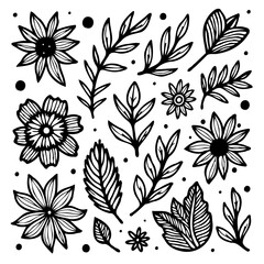 Hand-drawn botanical illustrations for your creative projects black and white floral elements for designs art projects