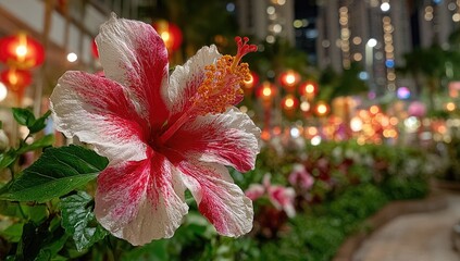 Close-up of a vibrant hibiscus flower,  red and white, in a festive garden setting at night