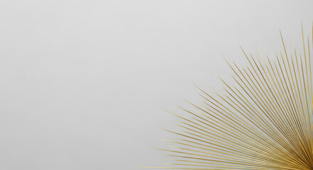 Light beige, radiating, thin sticks form an abstract design against a light gray background.