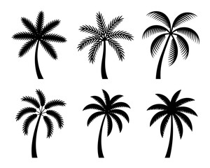 Collection of six black palm tree silhouettes isolated on white background