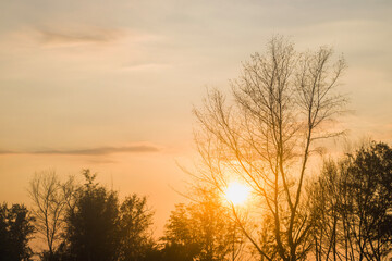 The sun sets behind the dry tree branches