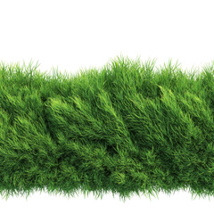 Seamless Border of Lush Green Grass with Transparent Background lawn turf, Isolated On White, Png Transparent, Cut Out